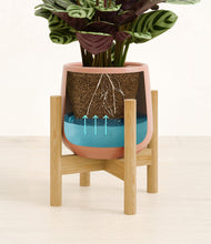 Load image into Gallery viewer, Calm Rose stand:bamboo