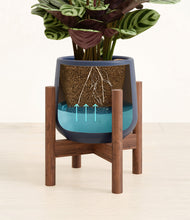 Load image into Gallery viewer, Deep Navy stand:walnut