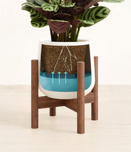 Load image into Gallery viewer, White stand:walnut