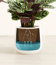 Load image into Gallery viewer, White