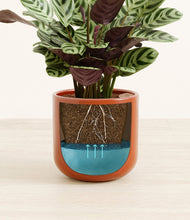 Load image into Gallery viewer, Glossy Red