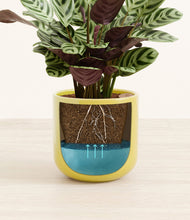 Load image into Gallery viewer, Key Lime Yellow