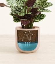 Load image into Gallery viewer, Sandy Pink