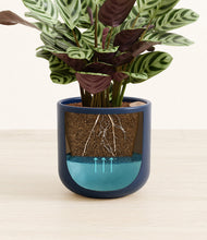 Load image into Gallery viewer, Twilight Blue