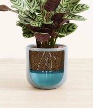 Load image into Gallery viewer, Misty Blue