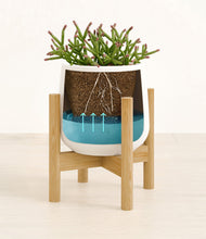 Load image into Gallery viewer, White stand:bamboo