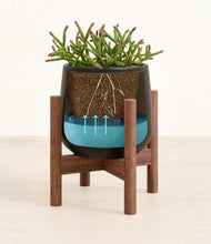 Load image into Gallery viewer, Black stand:walnut