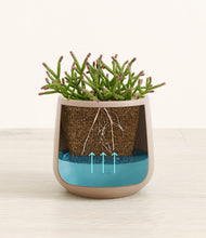 Load image into Gallery viewer, Eternal Gray