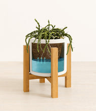 Load image into Gallery viewer, White stand:light