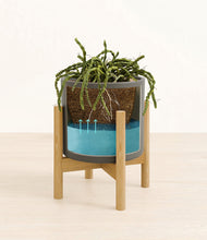 Load image into Gallery viewer, Dark Olive stand:bamboo