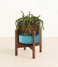 Load image into Gallery viewer, Black stand:walnut