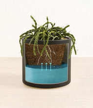 Load image into Gallery viewer, Black