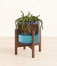 Load image into Gallery viewer, Deep Navy stand:walnut