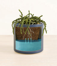 Load image into Gallery viewer, Deep Navy