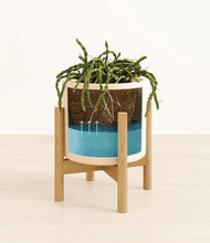 Load image into Gallery viewer, Cream stand:bamboo