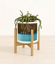 Load image into Gallery viewer, White stand:bamboo