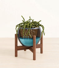 Load image into Gallery viewer, Deep Navy stand:walnut