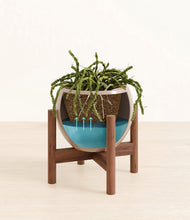 Load image into Gallery viewer, Desert Brown stand:walnut