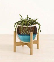 Load image into Gallery viewer, Shiny EggWhite stand:bamboo