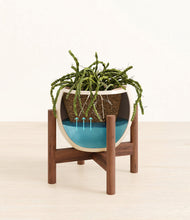 Load image into Gallery viewer, Shiny EggWhite stand:walnut