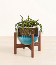 Load image into Gallery viewer, Deep Ocean stand:walnut