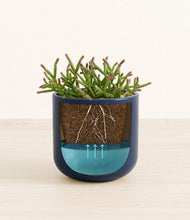 Load image into Gallery viewer, Twilight Blue