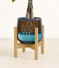 Load image into Gallery viewer, Deep Navy stand:bamboo