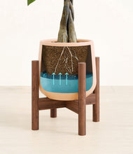 Load image into Gallery viewer, Gentle Pink stand:walnut