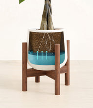 Load image into Gallery viewer, White stand:walnut