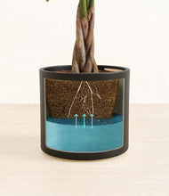 Load image into Gallery viewer, Black