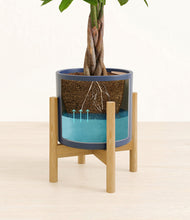 Load image into Gallery viewer, Deep Navy stand:bamboo