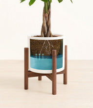 Load image into Gallery viewer, White stand:walnut