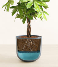 Load image into Gallery viewer, Iron Gray