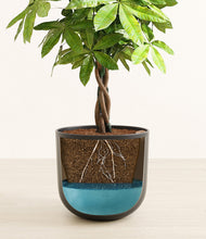 Load image into Gallery viewer, Stone Black