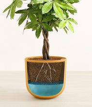 Load image into Gallery viewer, Sunset Orange