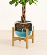 Load image into Gallery viewer, Shiny EggWhite stand:bamboo