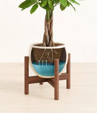 Load image into Gallery viewer, Shiny EggWhite stand:walnut