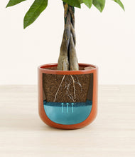 Load image into Gallery viewer, Glossy Red