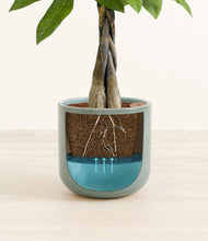 Load image into Gallery viewer, Reactive Aqua