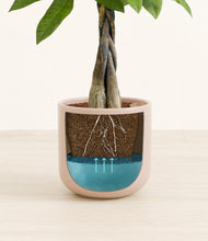 Load image into Gallery viewer, Sandy Pink