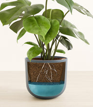 Load image into Gallery viewer, Iron Gray