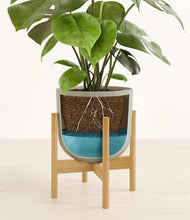 Load image into Gallery viewer, Sage Green stand:bamboo