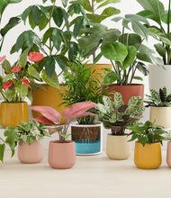 Load image into Gallery viewer, Evening Sky