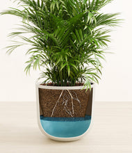 Load image into Gallery viewer, Natural Bamboo