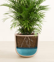 Load image into Gallery viewer, Sandy Pink