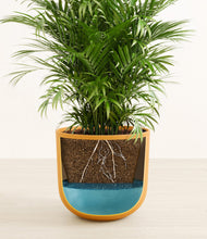 Load image into Gallery viewer, Sunset Orange