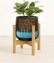 Load image into Gallery viewer, Black stand:bamboo