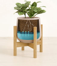 Load image into Gallery viewer, Eternal Gray stand:bamboo