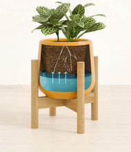 Load image into Gallery viewer, Mustard stand:bamboo