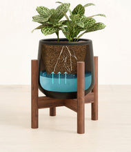 Load image into Gallery viewer, Black stand:walnut